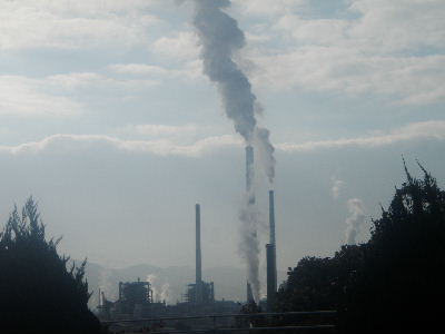 a0054240_2134402.jpg