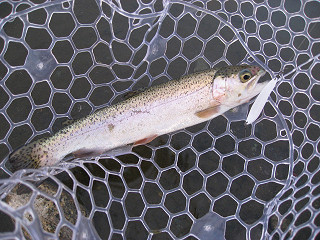 f0065341_10341343.jpg
