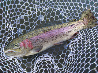 f0065341_10363371.jpg