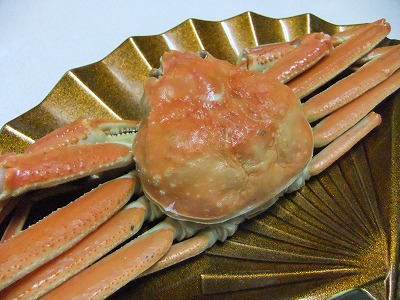 e0173645_7425541.jpg
