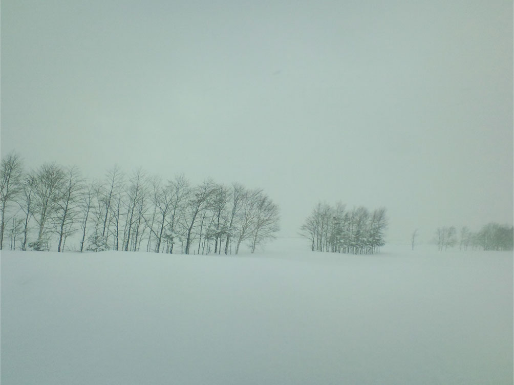 f0221648_13183181.jpg