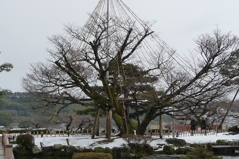 e0002850_2314641.jpg