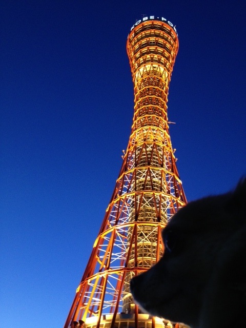 d0166558_1251733.jpg