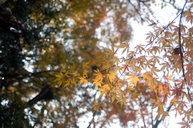 f0176458_2203746.jpg