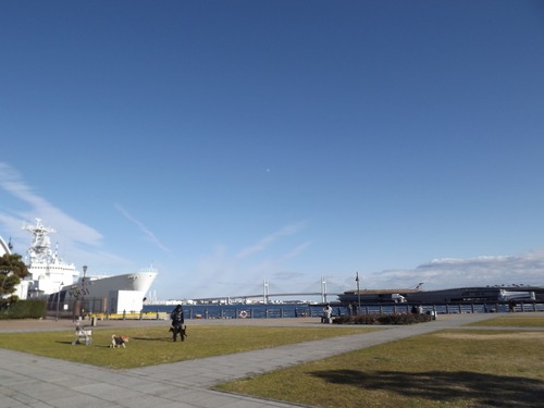 b0125570_10284498.jpg
