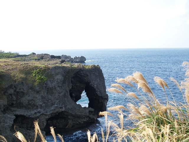 e0078071_2310242.jpg