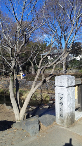 b0170472_20171983.jpg