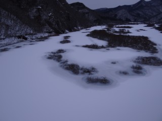 d0134473_17473138.jpg