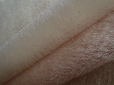 a0158477_1591290.jpg