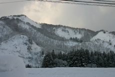 c0057781_19111820.jpg