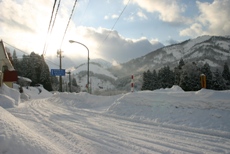 c0057781_192256.jpg