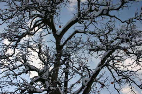 c0057781_20115547.jpg