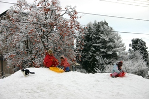 c0057781_20252731.jpg