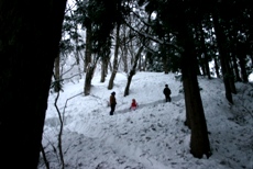 c0057781_20312253.jpg