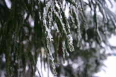 c0057781_2031785.jpg