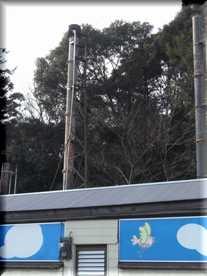 c0198485_1952358.jpg