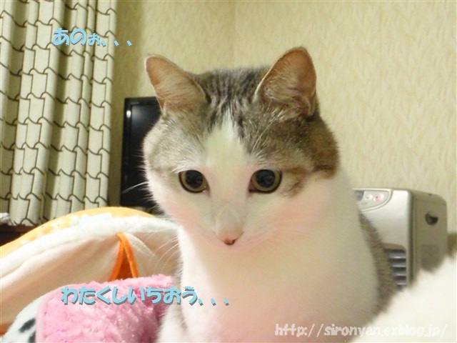 a0159490_14165072.jpg