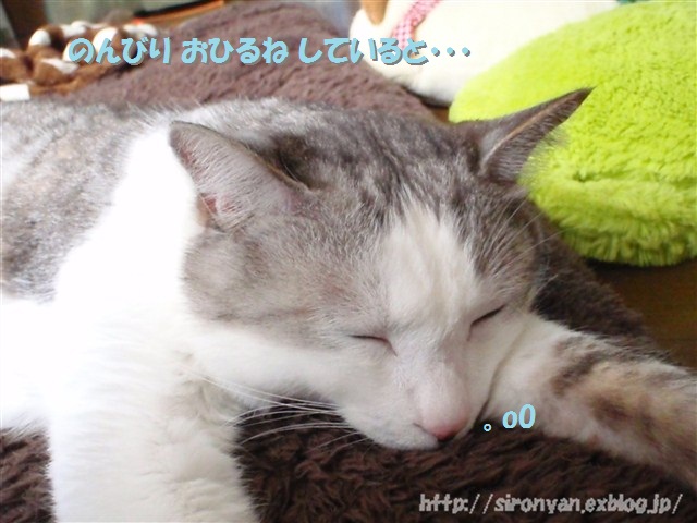 a0159490_14165464.jpg