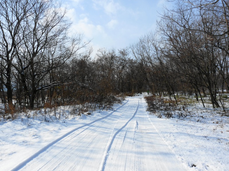 e0202393_75104.jpg