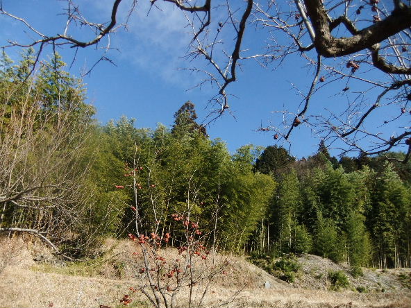 d0024504_234515.jpg