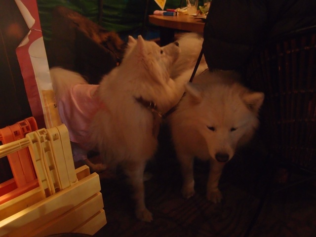 e0018604_22435263.jpg