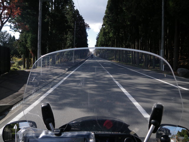 a0116205_2258051.jpg