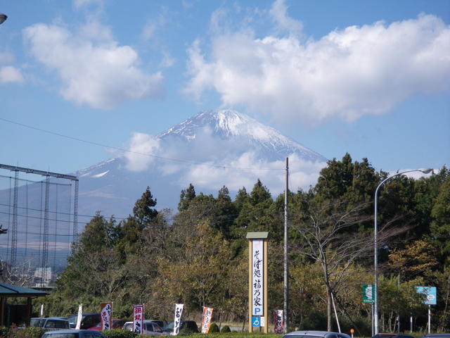 a0116205_2259783.jpg