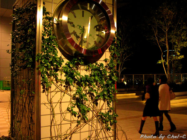 a0154706_1110268.jpg