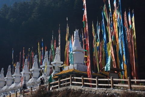 d0077811_1849796.jpg