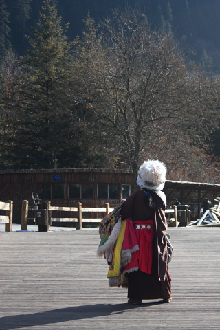 d0077811_20293153.jpg