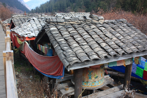 d0077811_20492377.jpg