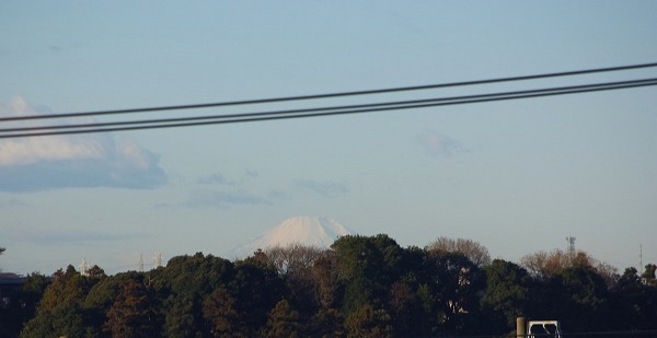 d0147812_8454351.jpg