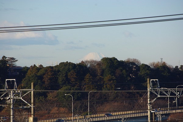 d0147812_8501085.jpg