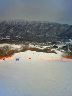 e0058118_1754175.jpg
