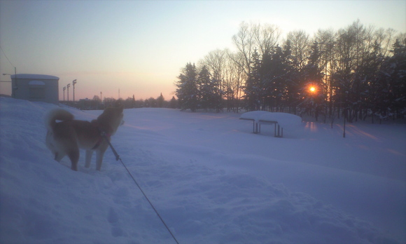 e0227023_23341750.jpg