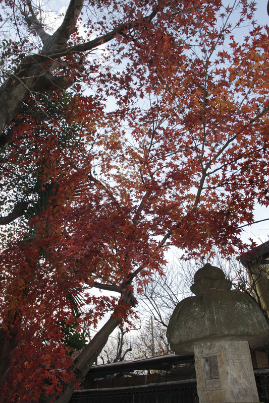 b0042837_21305123.jpg
