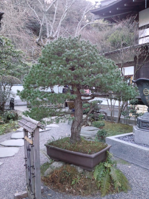c0125637_1403636.jpg