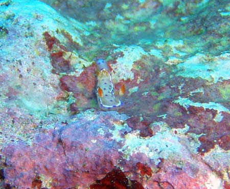 f0014842_17475490.jpg