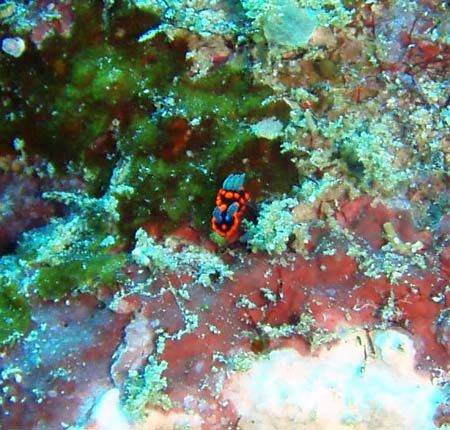 f0014842_17504710.jpg