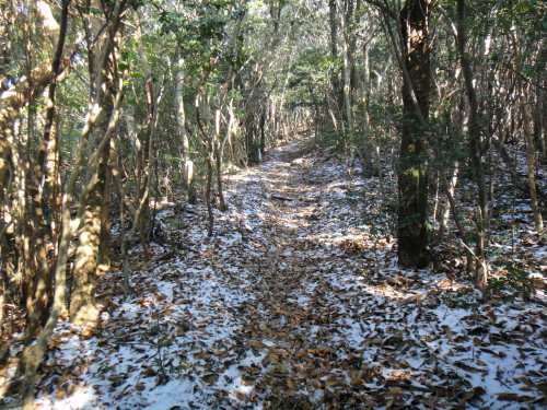 c0179351_21265321.jpg