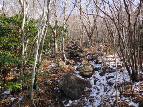 c0179351_2127305.jpg