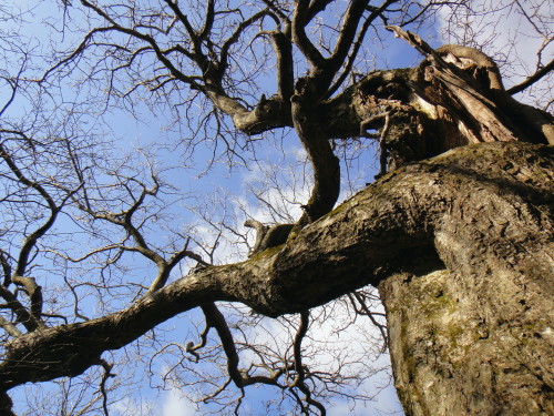 c0179351_2128899.jpg