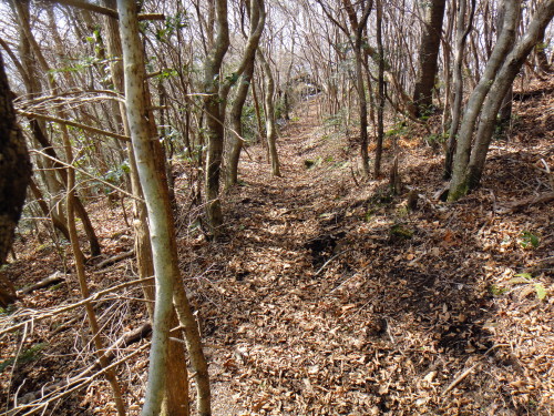 c0179351_21294480.jpg