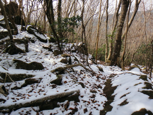 c0179351_21301750.jpg
