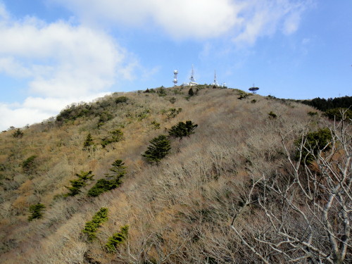 c0179351_21311443.jpg