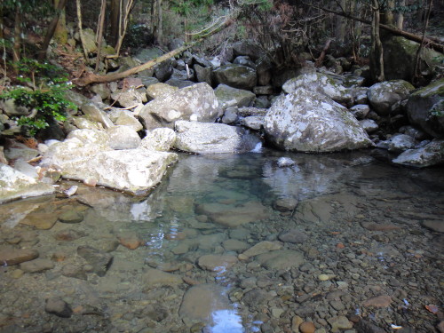 c0179351_21314174.jpg