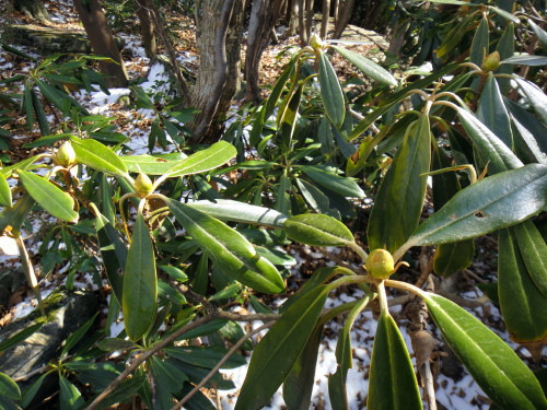 c0179351_2132546.jpg