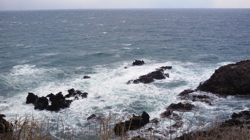 b0027353_1113753.jpg