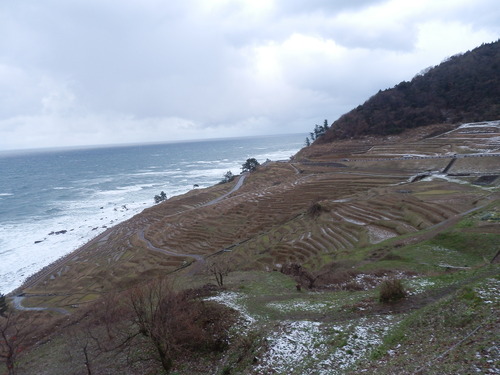 b0027353_11192986.jpg