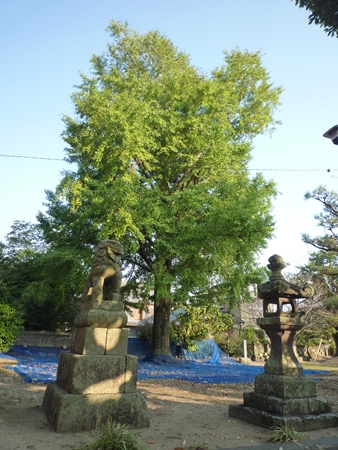 c0222861_20545931.jpg